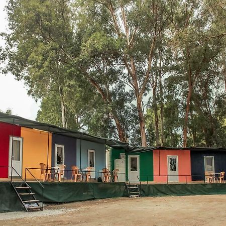 Patara Woody Hostel & Camping Экстерьер фото