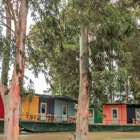 Patara Woody Hostel & Camping Экстерьер фото